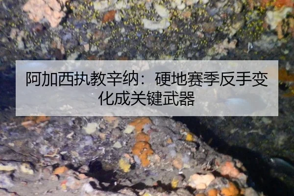 a-jia-xi-zhi-jiao-xin-na-ying-di-sai-ji-fan-shou-bian-hua-cheng-guan-jian-wu-qi-2-909.jpg