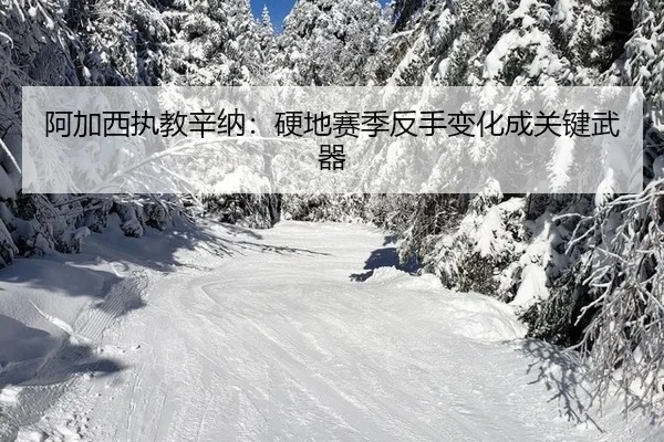 a-jia-xi-zhi-jiao-xin-na-ying-di-sai-ji-fan-shou-bian-hua-cheng-guan-jian-wu-qi-3-356.jpg