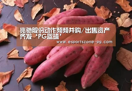 PG在线