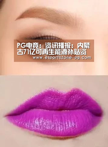 PG电竞:资讯播报:内蒙古71亿可再生能源补贴资金即将下发(图2) PG登录