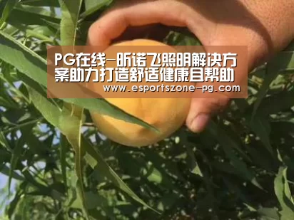 PG在线-昕诺飞照明解决方案助力打造舒适健康且帮助治愈的医疗环境(图1) PG登录